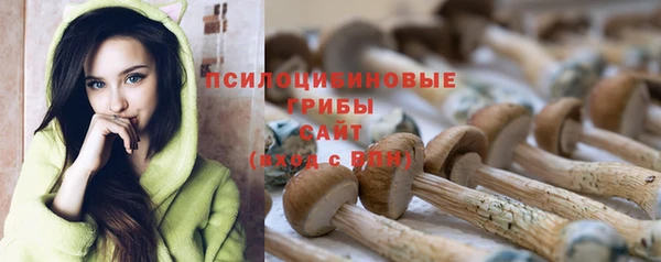 марихуана Новозыбков