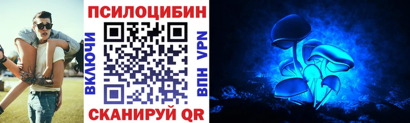 Псилоцибиновые грибы Psilocybine cubensis Азов