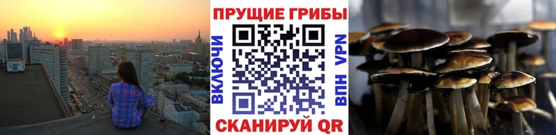Псилоцибиновые грибы Psilocybe  где купить наркоту  ссылка на мегу tor  Азов 